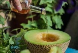 酒后吃蜜瓜,甜蜜解酒新选择