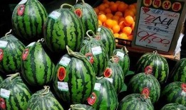 多人吃瓜怎么切,多人共享美食的切割艺术