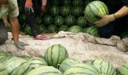 学校近期热门吃瓜事件