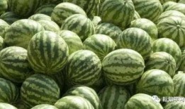 吃瓜中心吃最真实的瓜,吃瓜中心直击最真实瓜料