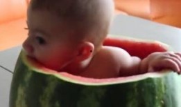 带孩子吃瓜视频,带娃吃瓜视频趣味回顾