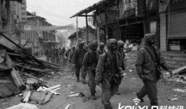 江苏盐城吃瓜事件始末,一场网络舆论的风波与反思