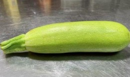 只吃葫芦瓜可以吃的吗,揭秘葫芦瓜的营养与食用价值