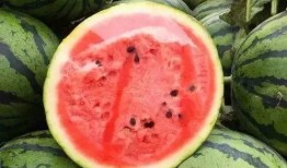 西瓜你吃瓜了吗,你吃瓜了吗？