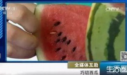 认真吃瓜不吐籽,认真吃瓜，不吐籽的智慧
