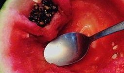 最无聊的吃瓜,一场毫无营养的八卦盛宴