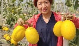 沁阳吃瓜,探寻当地特色美食的甜蜜奥秘