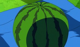 风儿吃瓜,夏日里的悠闲时光