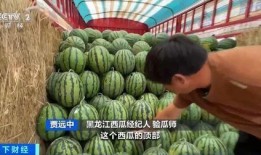 香吃瓜主播,揭秘娱乐圈幕后故事，带你领略明星真实生活