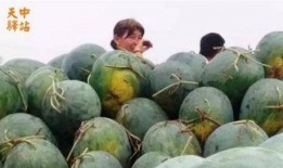 介休吃瓜现场视频