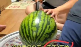多人吃瓜怎么切,多人共享美食的切割艺术