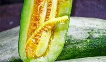 羊角蜜吃瓜视频,揭秘网红美食背后的甜蜜诱惑