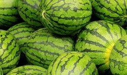 半夜吃梨瓜,揭秘午夜美食新宠