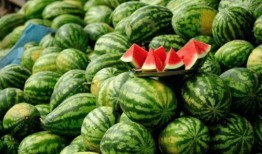 哪个网红吃瓜,一场娱乐圈的狂欢盛宴