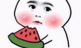 全网吃瓜小静仔,揭秘娱乐圈幕后故事，带你领略明星真实生活