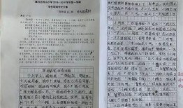 吃瓜风波作文四年级,一场四年级的误会大揭秘
