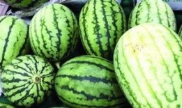 如何精准快速吃瓜,揭秘精准快速吃瓜攻略