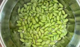 豆吃瓜,揭秘豆类与瓜类食材的奇妙搭配与营养奥秘