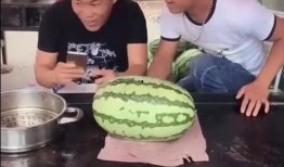 什么是吃瓜大神,揭秘网络舆论背后的神秘力量