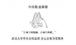 男生说吃瓜吗傻瓜吃吗