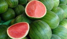 宝宝感冒咳嗽吃汽瓜,汽瓜食疗助康复