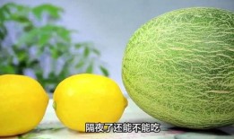 冻哈密瓜吃,冻哈密瓜的清凉诱惑