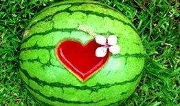 梦见别人吃瓜比赛,一场别开生面的吃瓜大赛