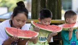 6号棋牌吃瓜,吃瓜群众揭秘幕后真相