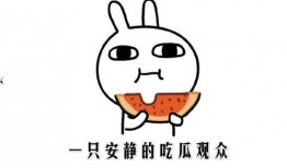吃瓜事件在线观看,在线观看带你揭秘网络热点背后的真相