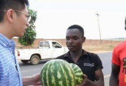 瓜不能随便吃视频,揭秘不能随便吃的瓜类真相