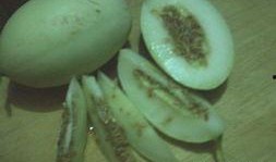 吃瓜趣事图片,笑料百出，生活瞬间