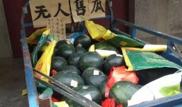 无人直播吃瓜,瓜果飘香，直播新风尚