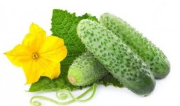 若楠吃瓜系统,网络舆论场的新宠儿