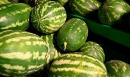 安平吃瓜事件,一场网络狂欢背后的真相与反思