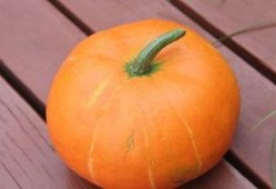 秋天吃胜瓜好吗,胜瓜美食，健康美味两不误