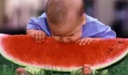 吃瓜大赛视频全集,全程回顾，笑料百出，年度爆笑盛宴