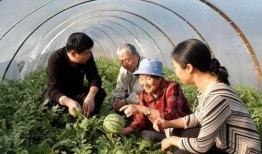 吃瓜人在洛杉矶,吃瓜人的美食之旅