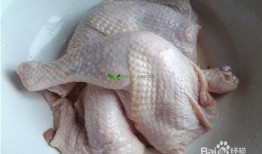 叼着鸡腿吃瓜,品味生活百态