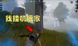 吃瓜电梯战神,揭秘网络红人的崛起之路