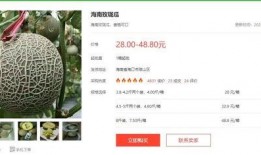 明星吃瓜长文小说