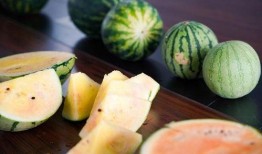 浙江吃瓜网络事件,揭秘背后真相与网络舆论风暴