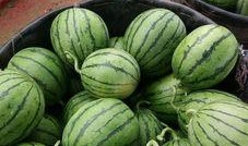 爱球疯吃瓜,揭秘足球圈那些不为人知的幕后故事