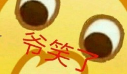 吃瓜表情包最后扔了,最后扔下的惊人真相