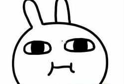 2024吃瓜事件,盘点那些令人捧腹的娱乐圈风云