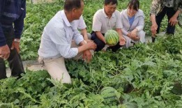 吃瓜的欣欣,欣欣带你揭秘娱乐圈风云