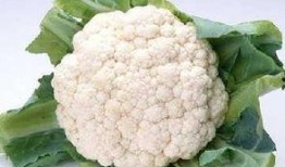 菜花夫妇吃瓜,娱乐圈背后的那些事儿