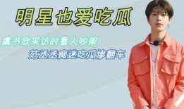 采访吃瓜老伯,揭秘民间视角下的社会现象