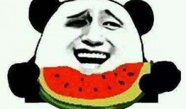 什么是吃瓜大神,揭秘网络舆论背后的神秘力量