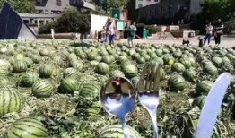 团队吃瓜,揭秘职场中的欢乐时光与团队凝聚力
