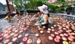 温泉湖吃瓜新闻事件,揭秘网络舆论的风暴与真相